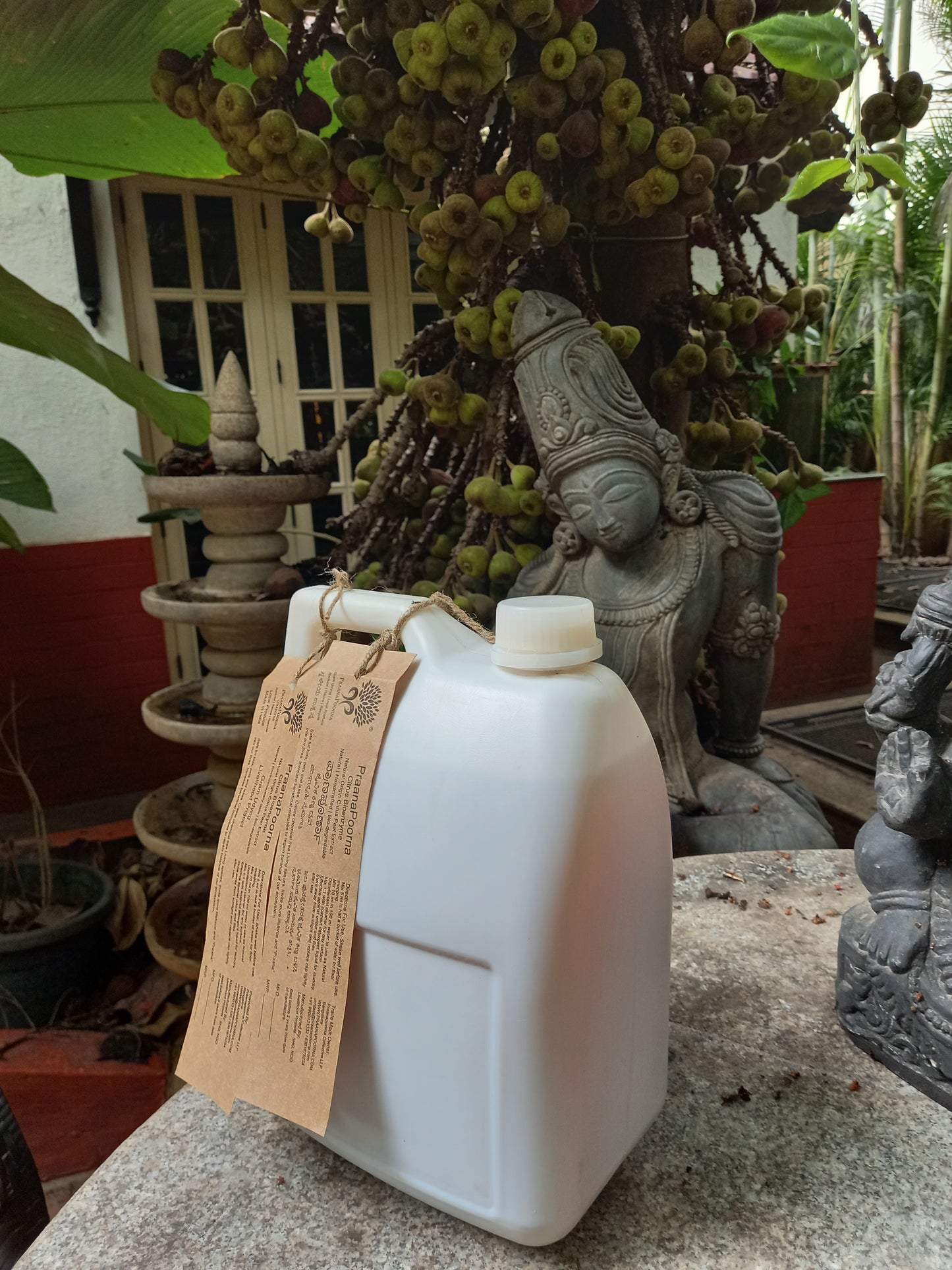 Praanapoorna Bioenzyme 5L