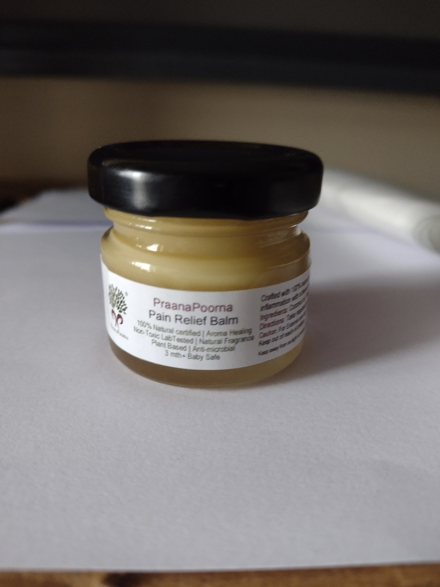 Praanapoorna Pain Relief Balm 25g