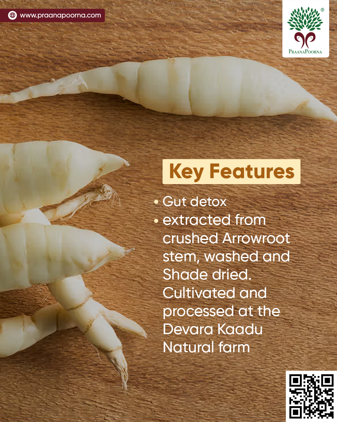 ArrowRoot Starch Powder