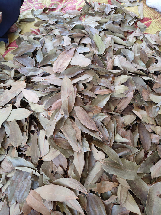 Cinnamon Cassia Bay leaves