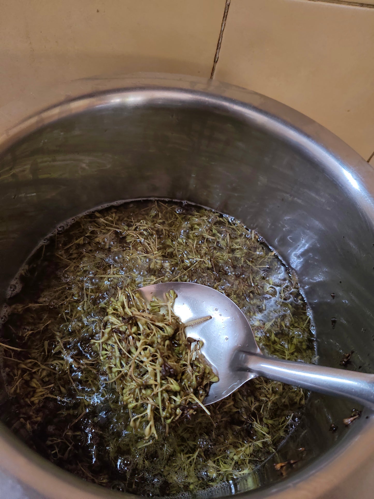 Cassia Flower Bud Salad Oil