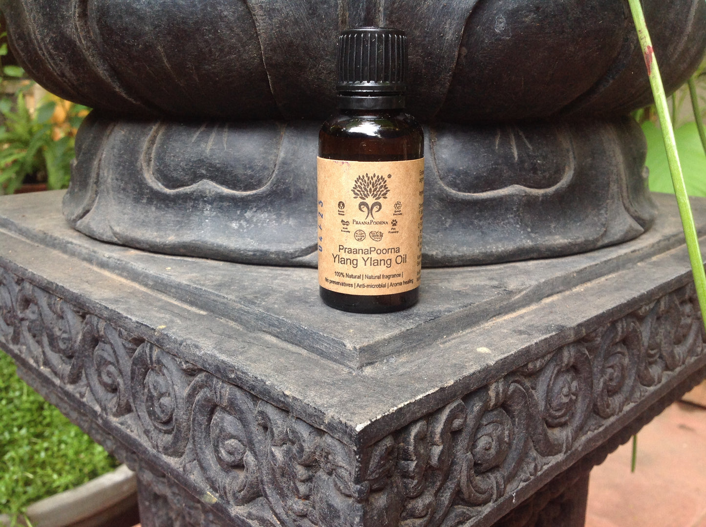 Praanapoorna Ylang Ylang Oil 20ml