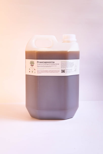 PraanaPoorna Soapnut Detergent Antibacterial 5L