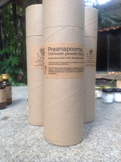 Praanapoorna Dishwash Powder 200g
