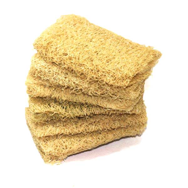 Loofah