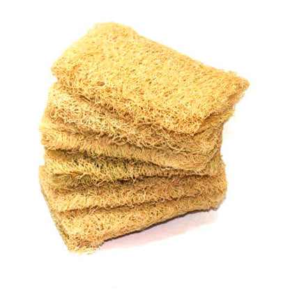 Loofah