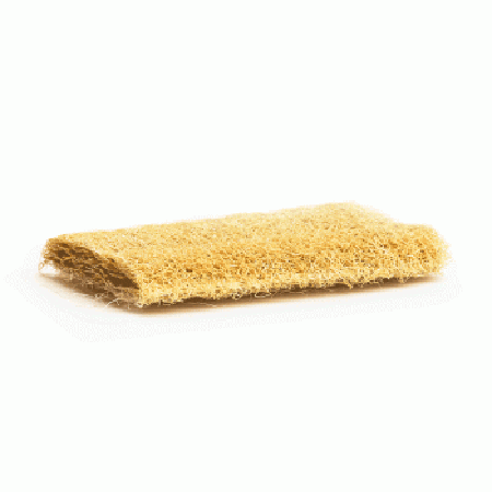 Loofah
