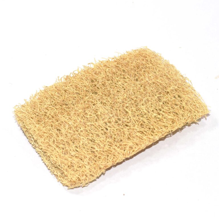 Loofah