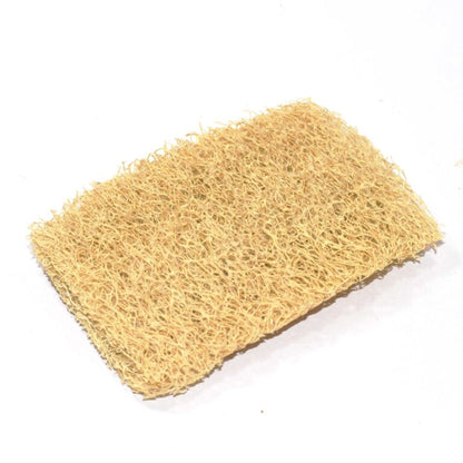 Loofah