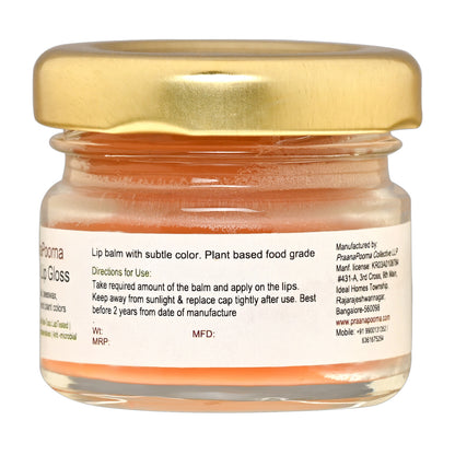 PraanaPoorna Lip Gloss 25g