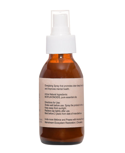 PraanaPoorna Basil Air Refresh Spray 100ml