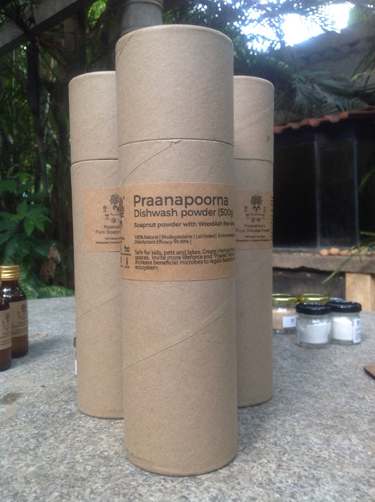 Praanapoorna Dishwash Powder 500g